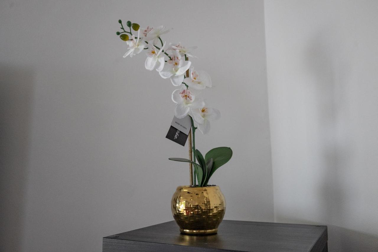 London - 4 Bed - Sleeps 8 - Garden - Pet Friendly Vila Exterior foto